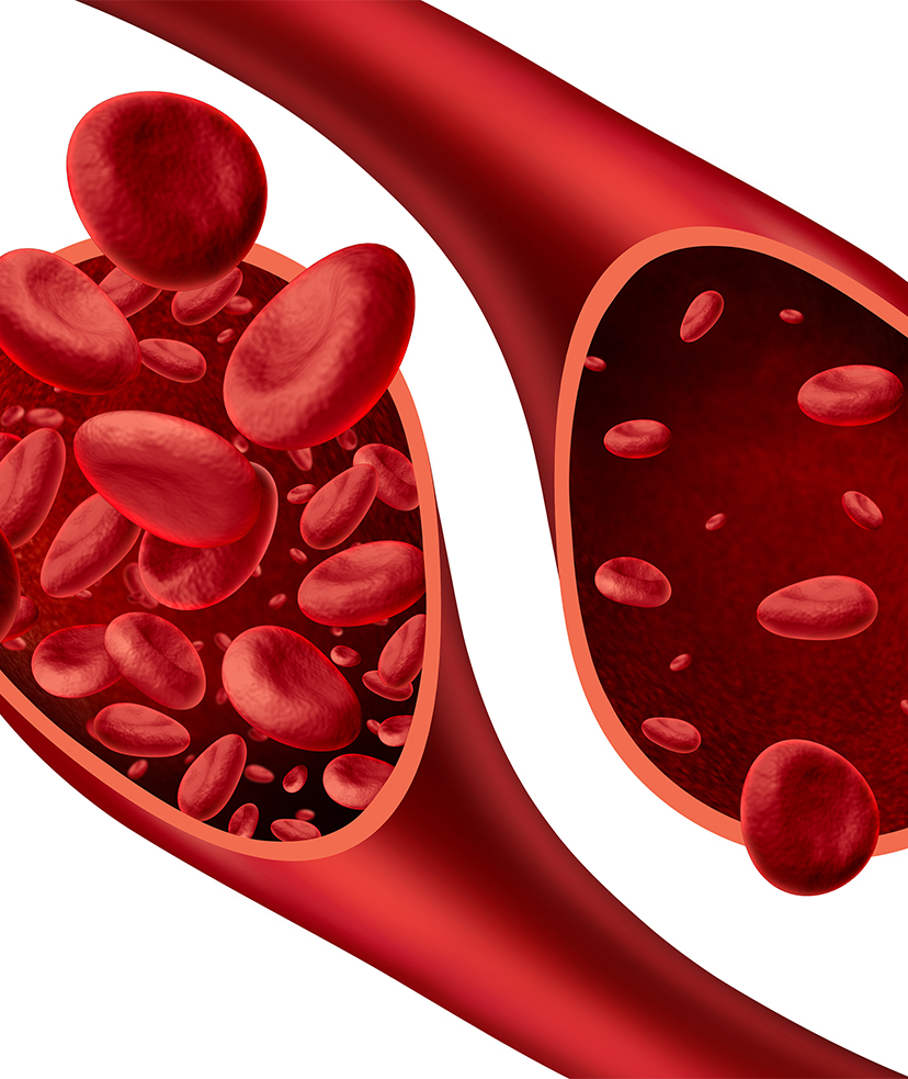 Image of red blood cells